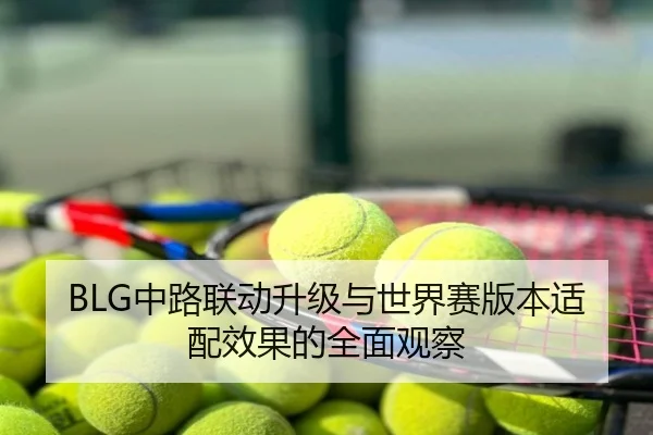 BLG中路联动升级与世界赛版本适配效果的全面观察